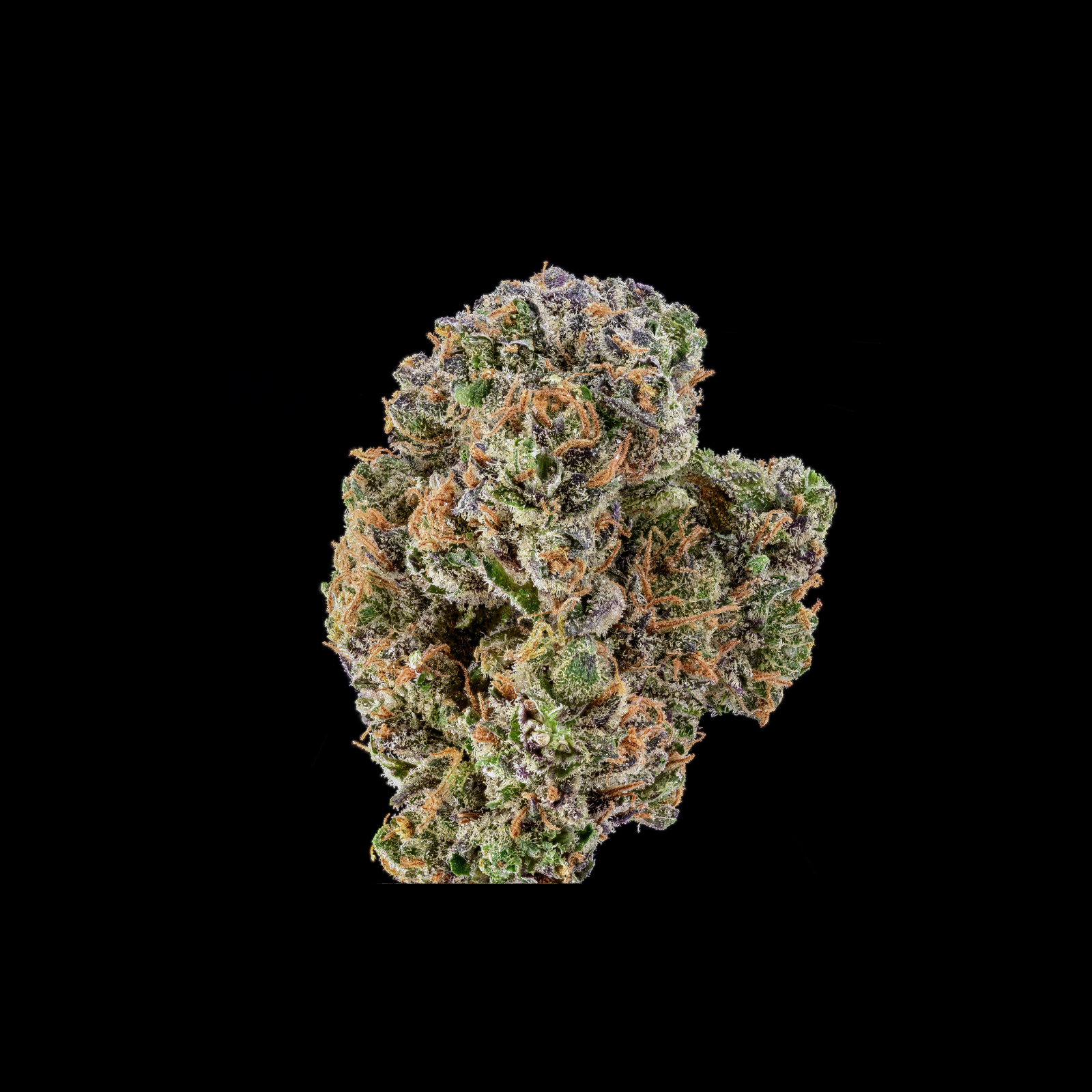  GrapeX