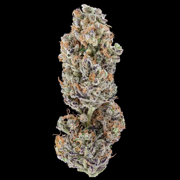Peanut Butter Breath Flower(1200X1200)